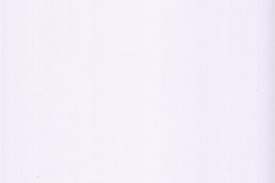 Ivory White