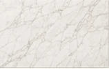 Batch A05 marble-look quartz reference